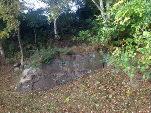 Outcrop of rock at the far end of the Co-op car park - a remnant of a quarry that ceased in the 1880's