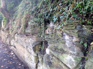 Exposed rock on the Tesco side of Gledhow Wood Road about 100 yards from Roundhay Road
