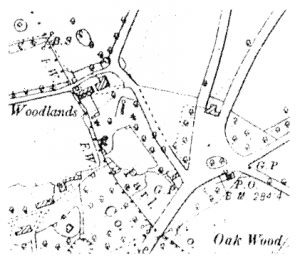 The Quarry Site at Oakwood in 1892